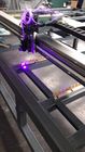 Gravador UV do laser do leito, diodo láser da máquina de gravura 405nm de matéria têxtil